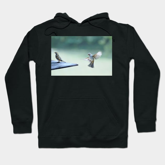 landing... Hoodie by LaurieMinor